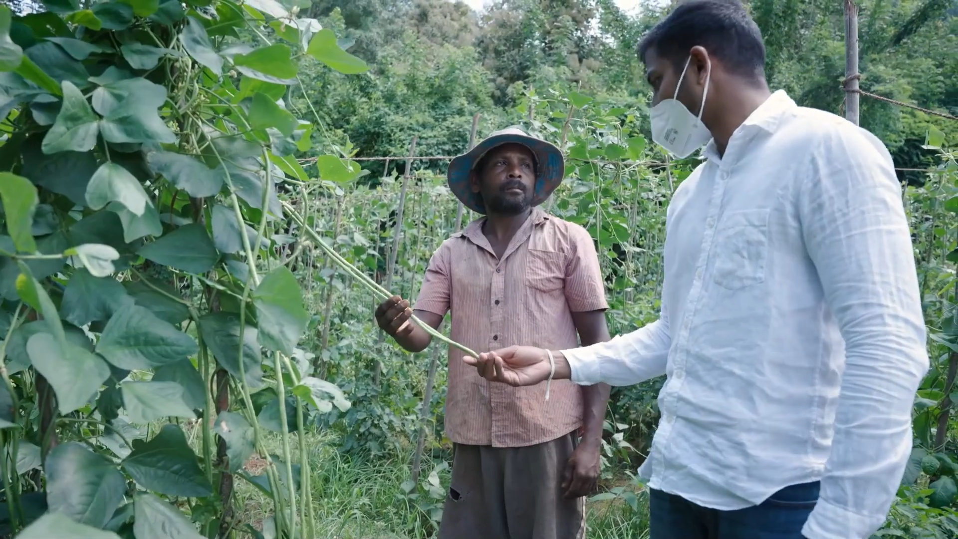 Plantation Silk Route Ventures New